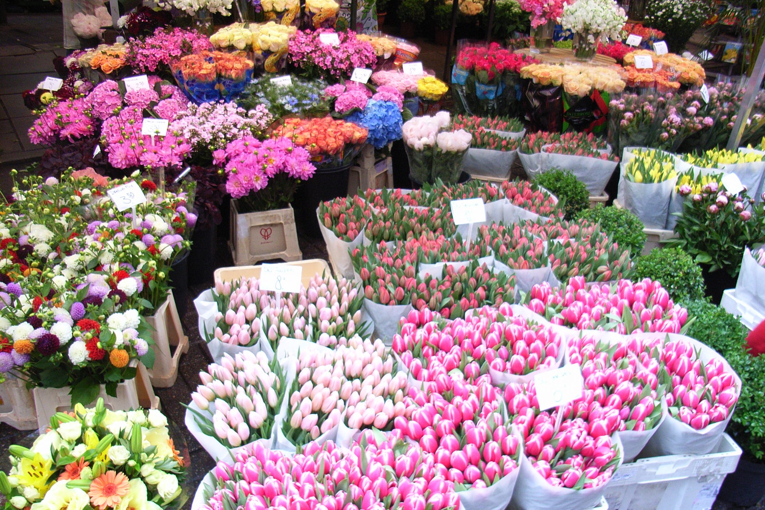 kvetinovy trh